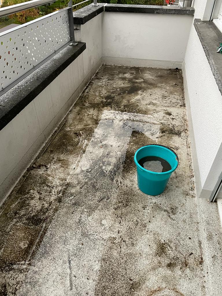 Tevlo Vorher-Nachher Reinigung