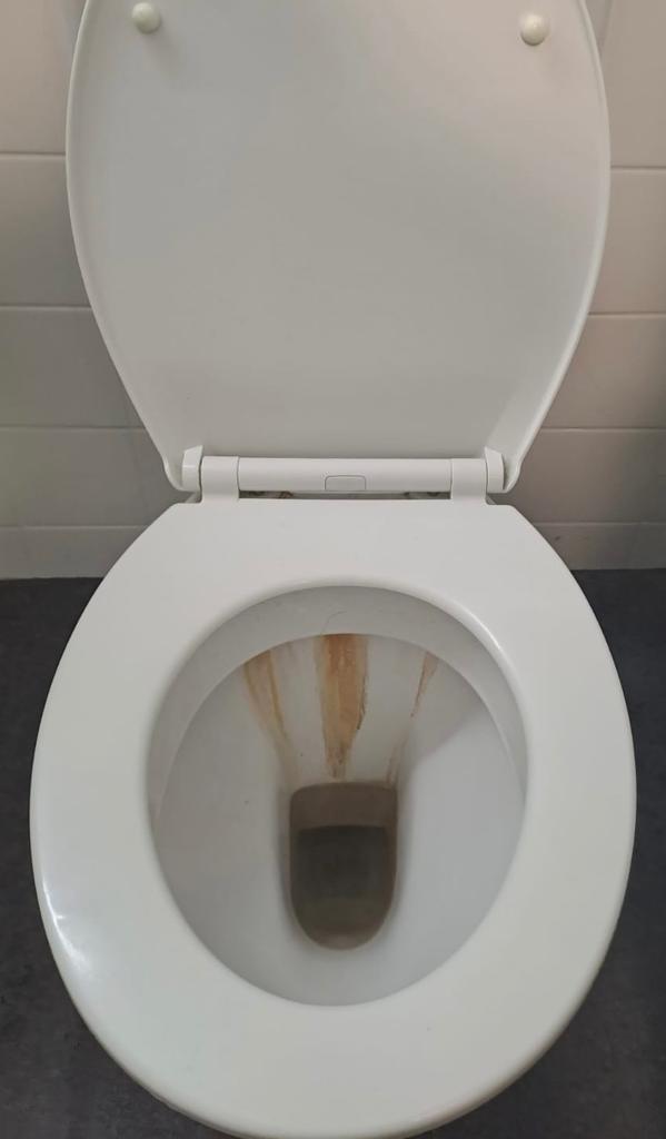 Tevlo Vorher-Nachher Reinigung